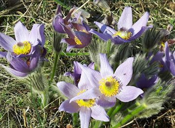 czechia/south-moravia/attraction/masaryk-grove