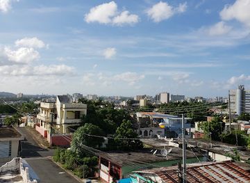 puerto-rico/san-juan-metropolitan-area/attraction/bosque-estatal-del-nuevo-milenio