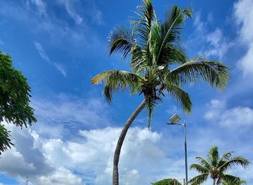 fiji/lautoka/attraction/churchill-park