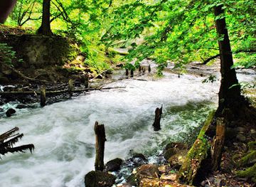 poland/drawa-national-park/attraction/stara-wegornia-ruiny-mlyna-wodnego