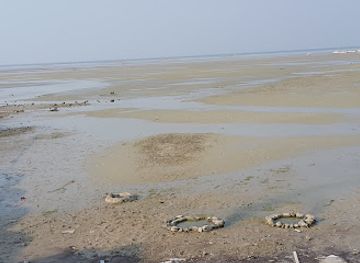 bahrain/hawar-islands/attraction/fresh-water-springs-in-the-middle-of-the-sea