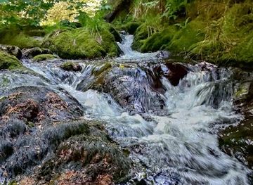 germany/black-forest/attraction/teufelsmuhle