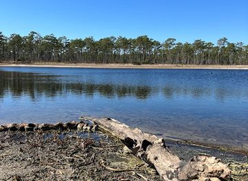 north-carolina/crystal-coast/attraction/patsy-pond-nature-trail