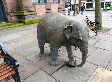 united-kingdom/chester/attraction/statue-of-janya-the-baby-elephant