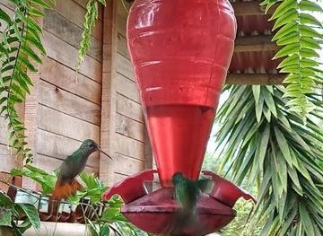 colombia/ibague/attraction/coffee-tour-luger