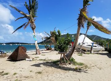 british-virgin-islands/tortola-beaches/attraction/trellis-bay