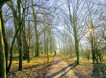 united-kingdom/yorkshire-and-the-humber/attraction/rawcliffe-country-park