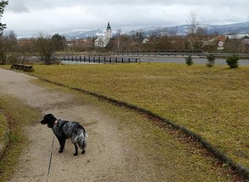 slovakia/turiec/attraction/naucny-chodnik-v-lesoparku-bor