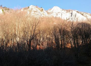 romania/rasnov-area/attraction/valea-rasnoavei