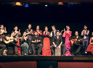 spain/barcelona/attraction/palau-del-flamenc