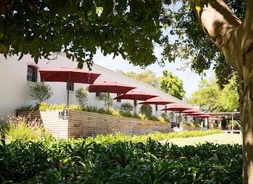 south-africa/cape-town/attraction/alto-wine-estate