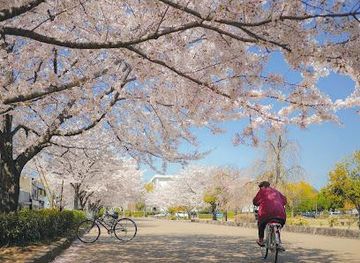 japan/harima/attraction/karoyashikiato-park