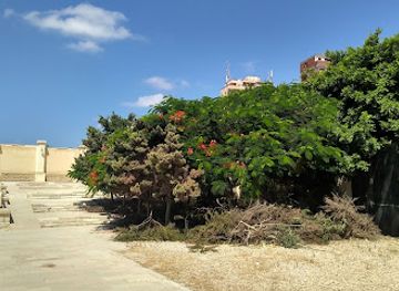 egypt/alexandria/stanley/attraction/serapeum-of-alexandria