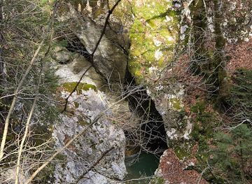 slovenia/bohinj/attraction/jereska-korita