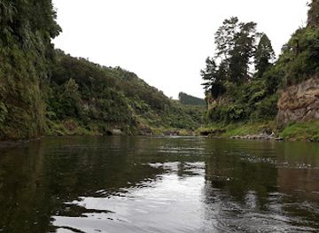new-zealand/manawatu-wanganui/attraction/whanganui-river-road-culvert-walk
