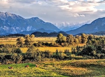 germany/alps/attraction/murnauer-moos