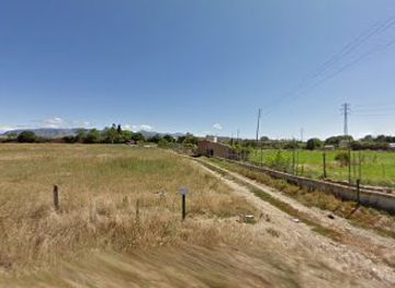 spain/huesca/attraction/mural-buho-real