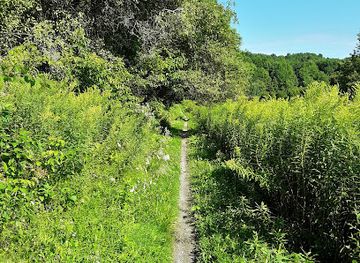 vermont/camel-s-hump-state-park/attraction/cross-vermont-trail
