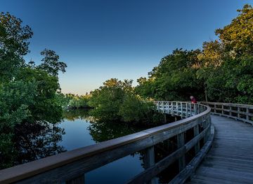 florida/nature-coast/attraction/robinson-preserve