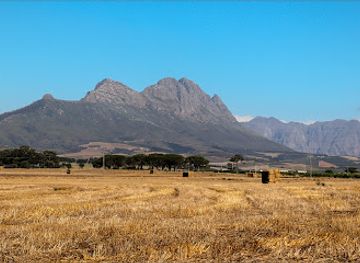 south-africa/breede-river-valley/attraction/exotic-animal-world-previously-butterfly-world