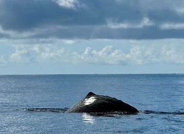 dominica/castle-bruce/attraction/waitukubuli-adventure-tour-co