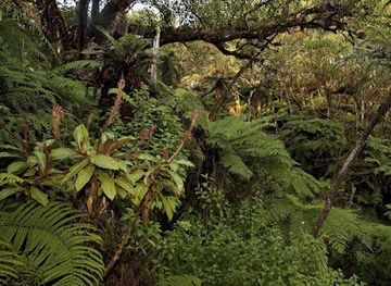 haiti/ile-a-vache/attraction/pic-macaya
