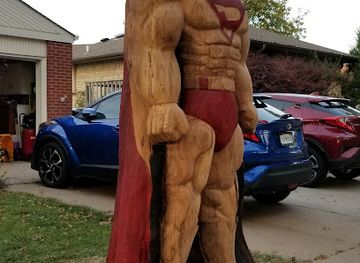 nebraska/lincoln/university-place/attraction/superman-tree-lincoln-ne