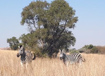 Dinokeng Game Reserve