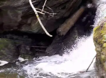 Waterfall Park