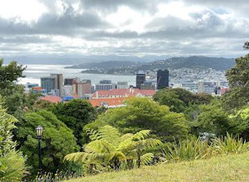 new-zealand/wellington/kelburn/attraction/krupp-gun