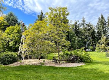 washington/kirkland/attraction/mcauliffe-park