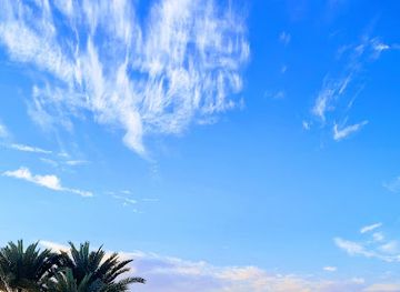 egypt/aswan/attraction/marsa-jazeera-aswan