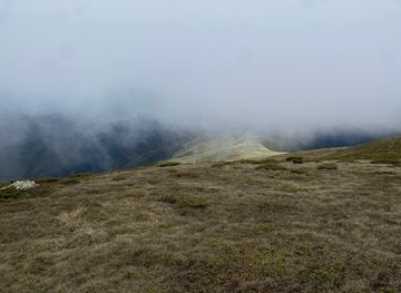 romania/valcea/attraction/rezervatia-sterpu-dealul-negru