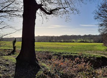 united-kingdom/essex/attraction/edwards-hall-park