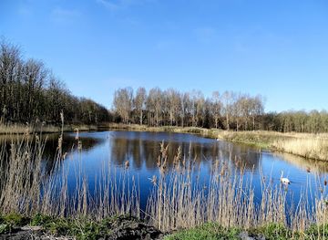 netherlands/gooi/attraction/oostvaardersplassen