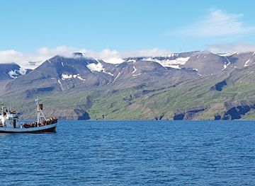 iceland/northeastern-region/attraction/north-sailing-husavik-whale-watching