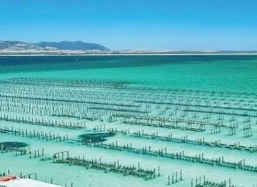 australia/eyre-peninsula/attraction/experience-coffin-bay-oyster-farm