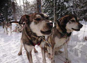 canada/laurentides/attraction/alaskan-adventure