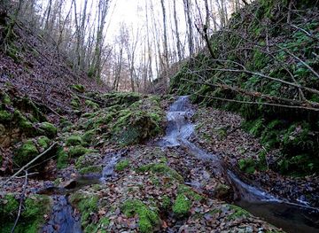 romania/bihor/attraction/sura-usorilor