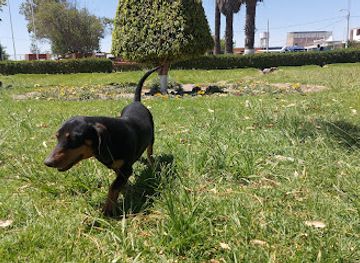 peru/arequipa-region/attraction/san-isidro-la-joya