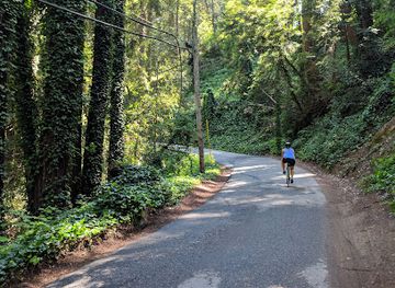 california/redwood-national-and-state-parks/attraction/la-honda-creek-open-space-preserve