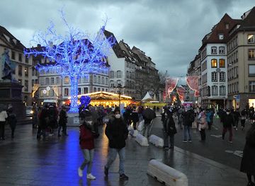 france/strasbourg/european-quarter/attraction/l-arbre-bleue-des-vitrines