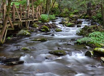 Bushkill Falls