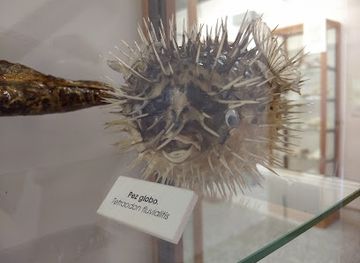 spain/avila/attraction/museo-de-ciencias-naturales