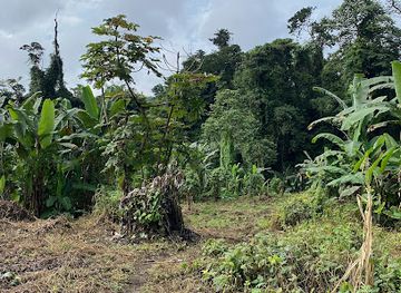 cameroon/limbe-beach/attraction/great-soppo-chiefdom-quarter-15-water-fall