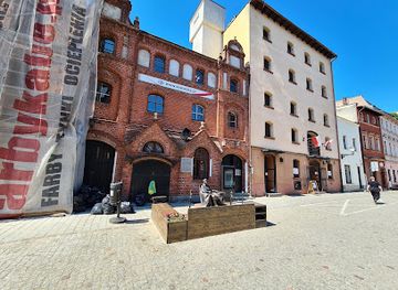 poland/torun/attraction/pomnik-general-elzbiety-zawackiej