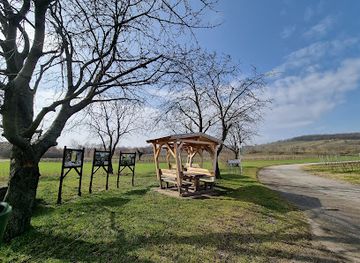 austria/neusiedler-see/attraction/thenau-nature-reserve