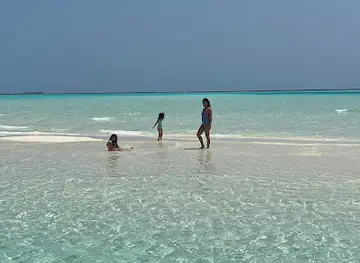 Rosie Island