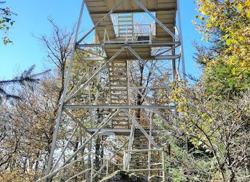 germany/palatinate/attraction/selbergturm
