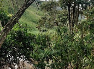 sri-lanka/kandy-district/attraction/nagasthenna-waterfall